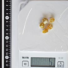 甘納豆(えんどう豆)5個