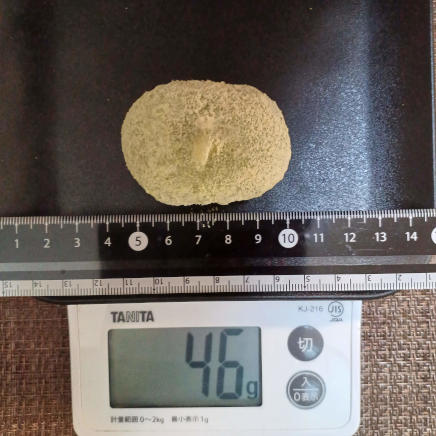 うぐいす餅一個 46g