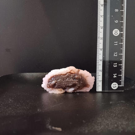 桜餅半分の断面 厚さ約2㎝