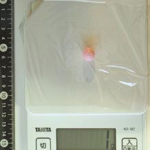 森永キャラメルMini 1g