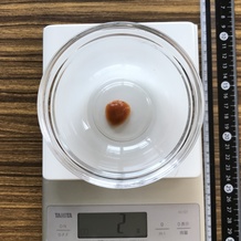 ミートソース 2g