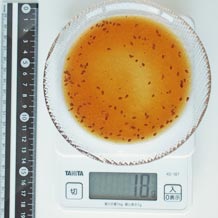 和風ドレッシング 18g