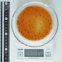 和風ドレッシング 17g