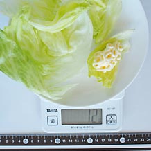 レタスに添えたマヨネーズ