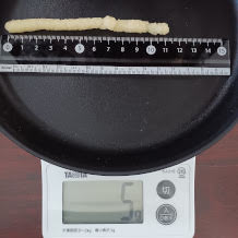 おろしにんにく 3