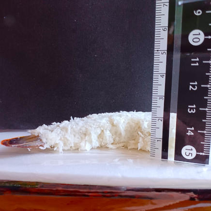 冷凍エビフライ頭側の厚さ約2㎝