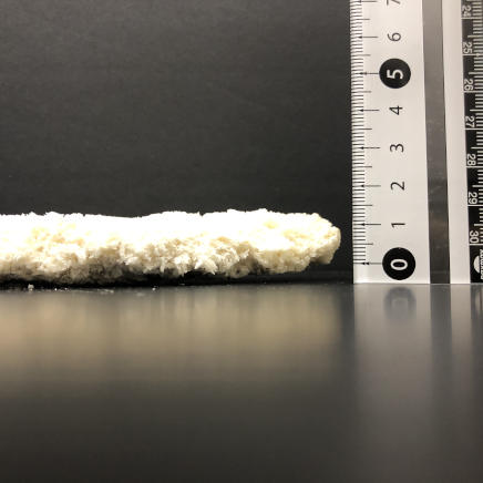 横から見た冷凍白身魚のフライの厚さ