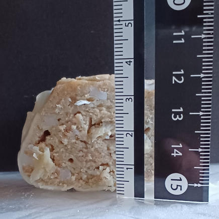 シュウマイ1個52gの断面(厚さ約3.5㎝)