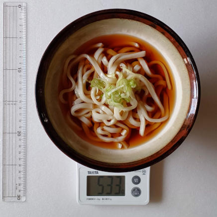 1杯分のかけうどん