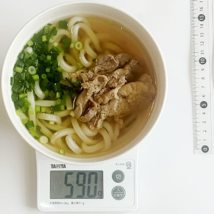 丼1杯分の肉うどん