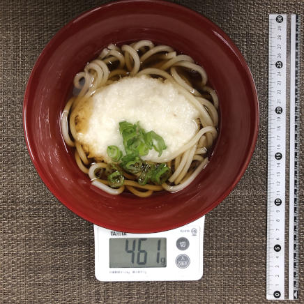 丼1杯分・1人前のとろろうどん