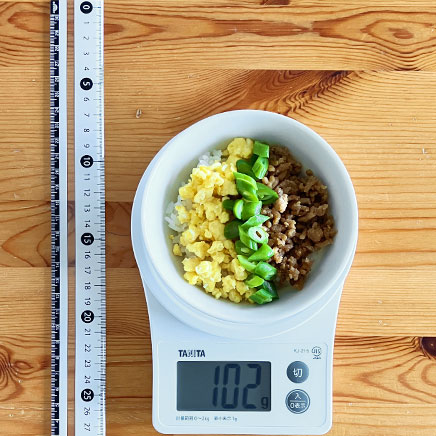 茶碗一杯分の三色丼