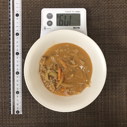 中皿1皿・1人前のビーフストロガノフ