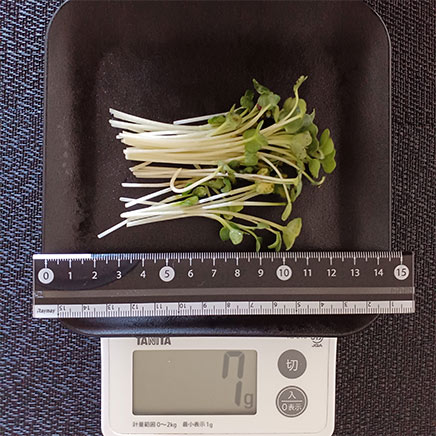 カイワレ大根 7g