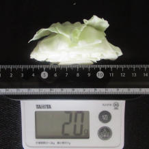 キャベツ 20g