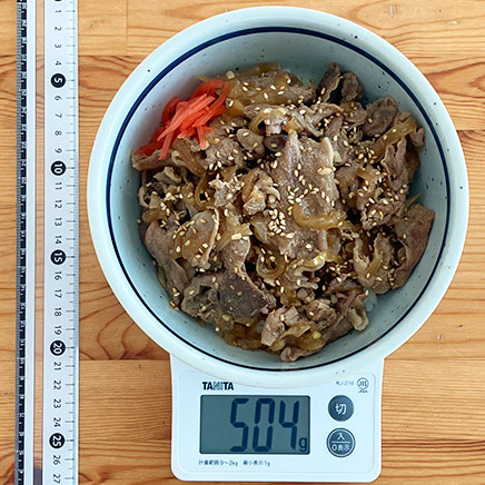 丼一杯分1人前の豚丼