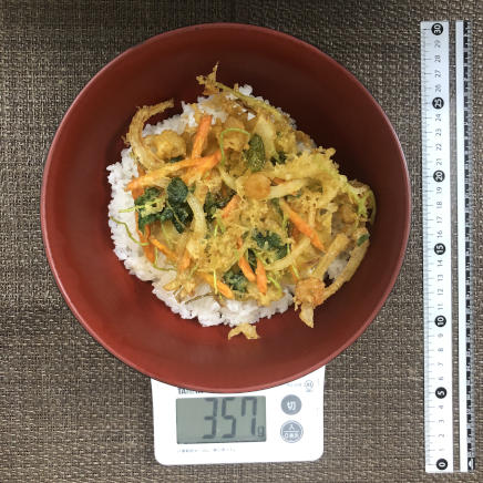 丼1杯分・1人前のかき揚げ丼