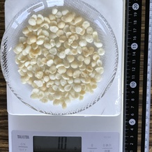 揚げ玉 10g