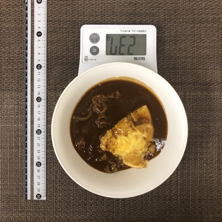 中皿1皿分のオムハヤシ