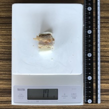 食パン一枚分のカツサンド1/8 (横) 17g