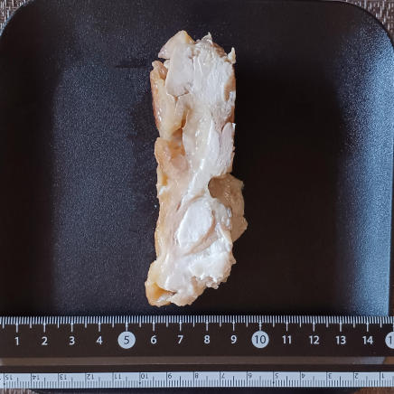 鶏の照り焼き断面(厚さ約3㎝)の鶏の照り焼き