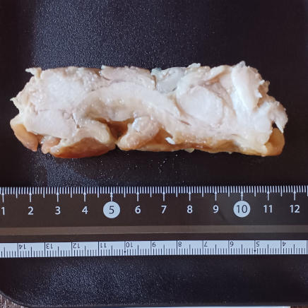 鶏の照り焼き断面(長さ約10㎝)の鶏の照り焼き