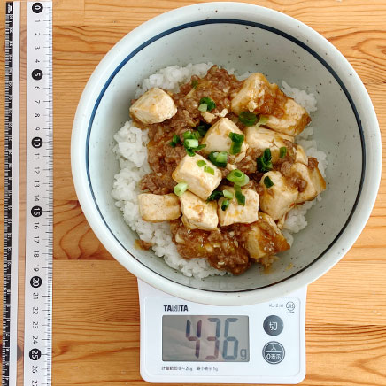 丼一杯分の麻婆丼
