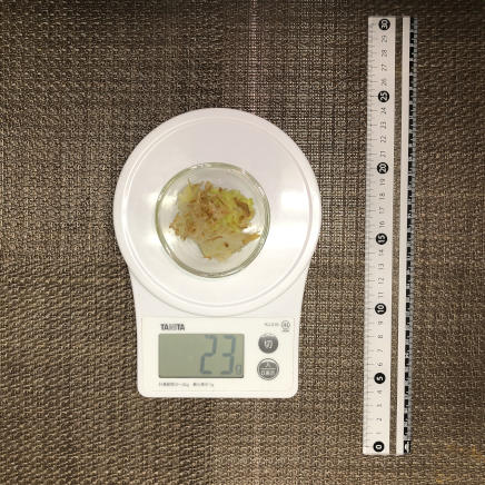 おつまみ皿1杯23gの白菜のおひたし