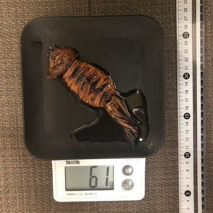 小さめイカ1杯分のイカの丸焼き