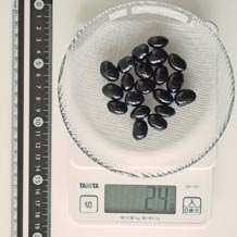 黒豆煮 24g