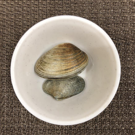 1人前のあさりの味噌汁に使用したアサリ