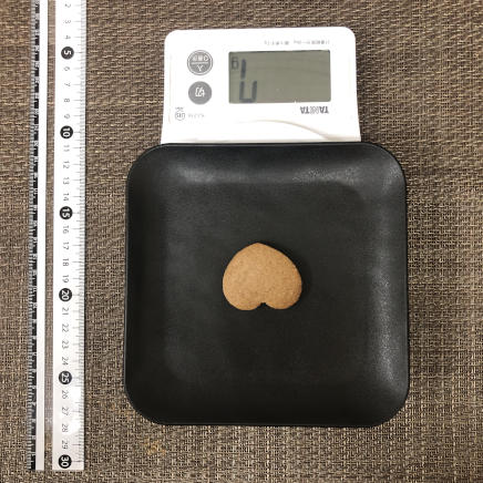 1枚分のチョコクッキー