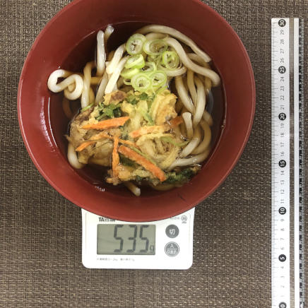 丼1杯分・1人前ののかき揚げうどん