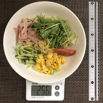 大皿1皿分・1人前のラーメンサラダ