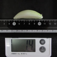 玉ねぎ 14g