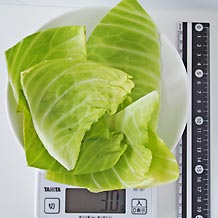 キャベツ30ｇ