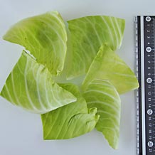 キャベツ30gを広げる