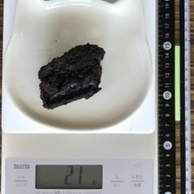 ブラウニー 21g