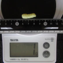 おろしにんにく 1g