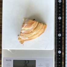 シナモンロール1/4 32g 