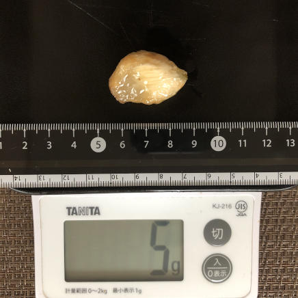 1片のにんにくホイル焼き 5g