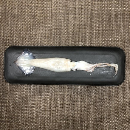 1人前のイカ刺しに使ったイカ