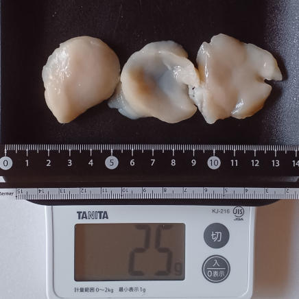 ホタテの刺身(横切り) 25g