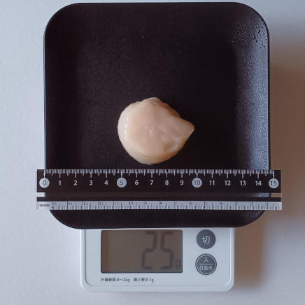 25gの刺身に使用した貝柱