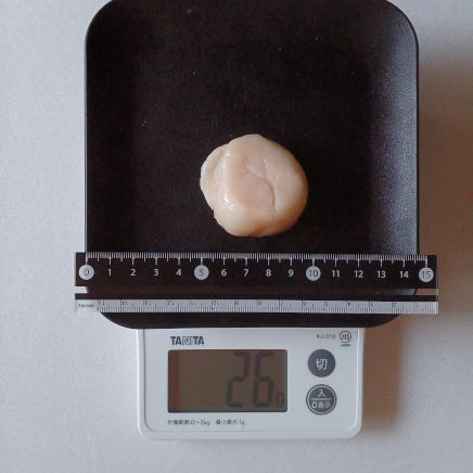 26gの刺身に使用した貝柱 26g