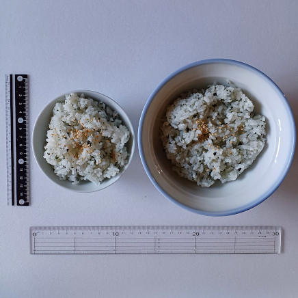 わかめご飯の分量の比較