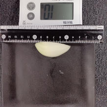 オニオンサラダ10g分の玉ねぎ