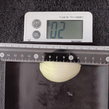 オニオンサラダ20g分の玉ねぎ