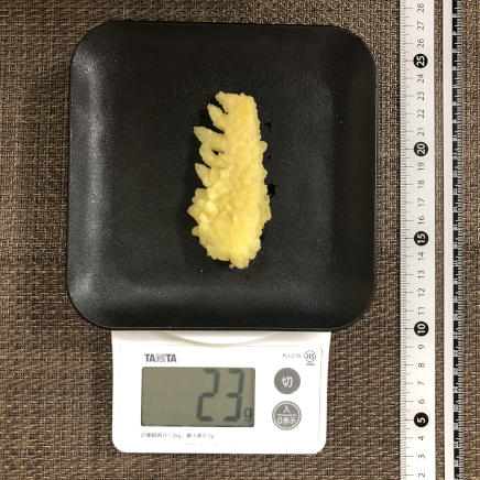 1枚分のたけのこの天ぷら