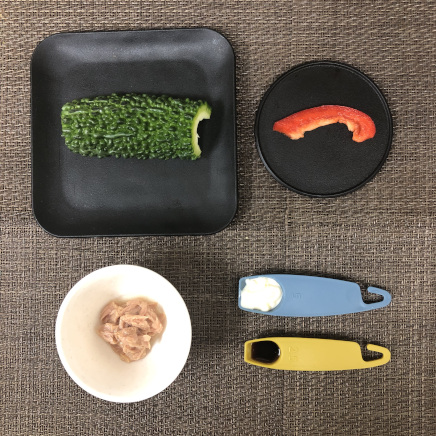 ゴーヤサラダの材料(ゴーヤ・赤ピーマン・ツナ・マヨネーズ・醬油)